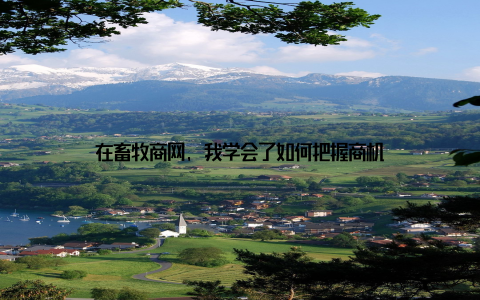 在畜牧商网, 我学会了如何把握商机