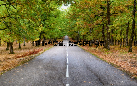 听到这些赞誉, 我感到无比自豪